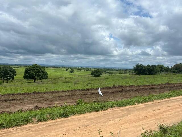 Área para Venda em Mulungu - 5