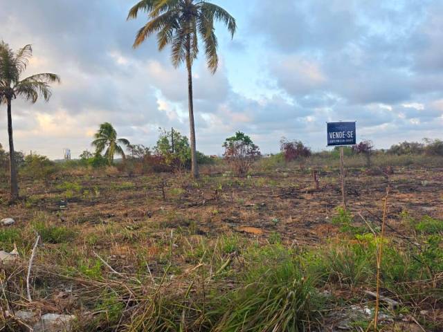 #123 - Área para Venda em Conde - PB - 2