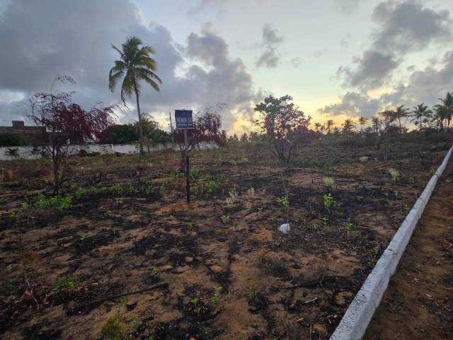 #123 - Área para Venda em Conde - PB - 1