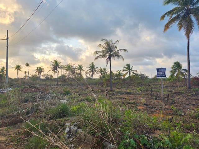 #123 - Área para Venda em Conde - PB - 3