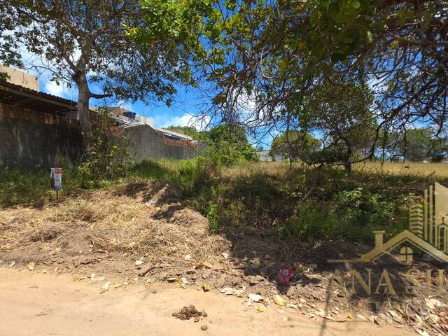 #142 - Área para Venda em Conde - PB - 2